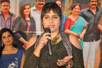 Ammammagarillu Teaser Launch
